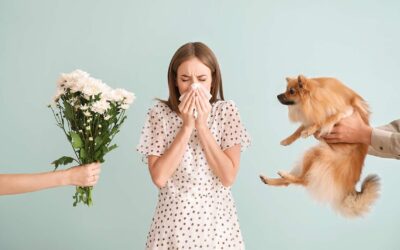 Navigating the Workspace: A Guide to Managing Workplace Allergies